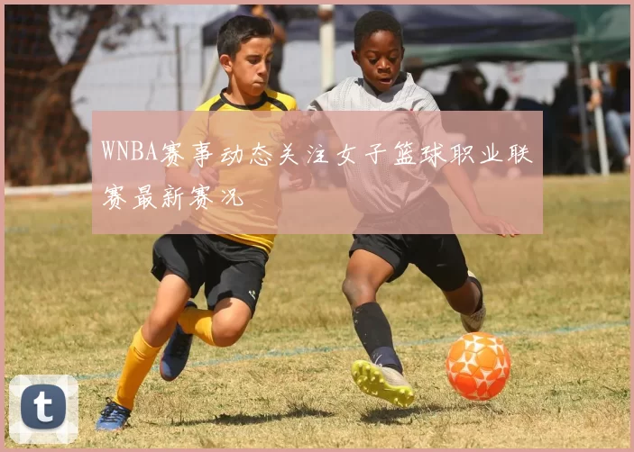 WNBA赛事动态关注女子篮球职业联赛最新赛况