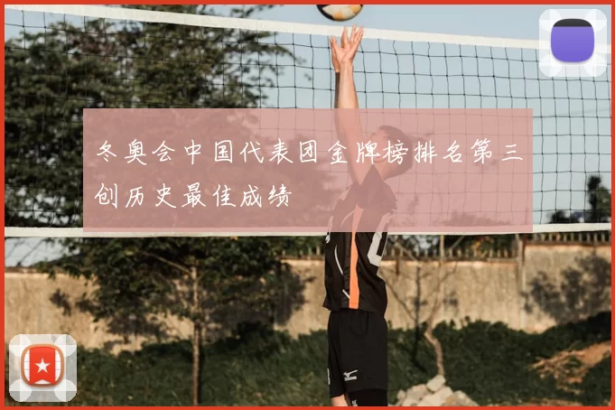 冬奥会中国代表团金牌榜排名第三创历史最佳成绩