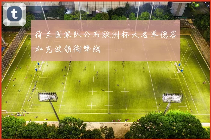 荷兰国家队公布欧洲杯大名单德容加克波领衔锋线