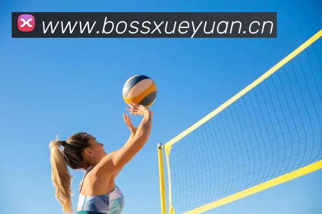 多媒体互动体验